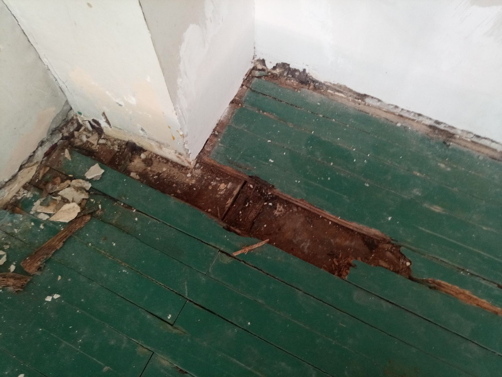 viber_изображение_2025-07-01_19-13-48-662